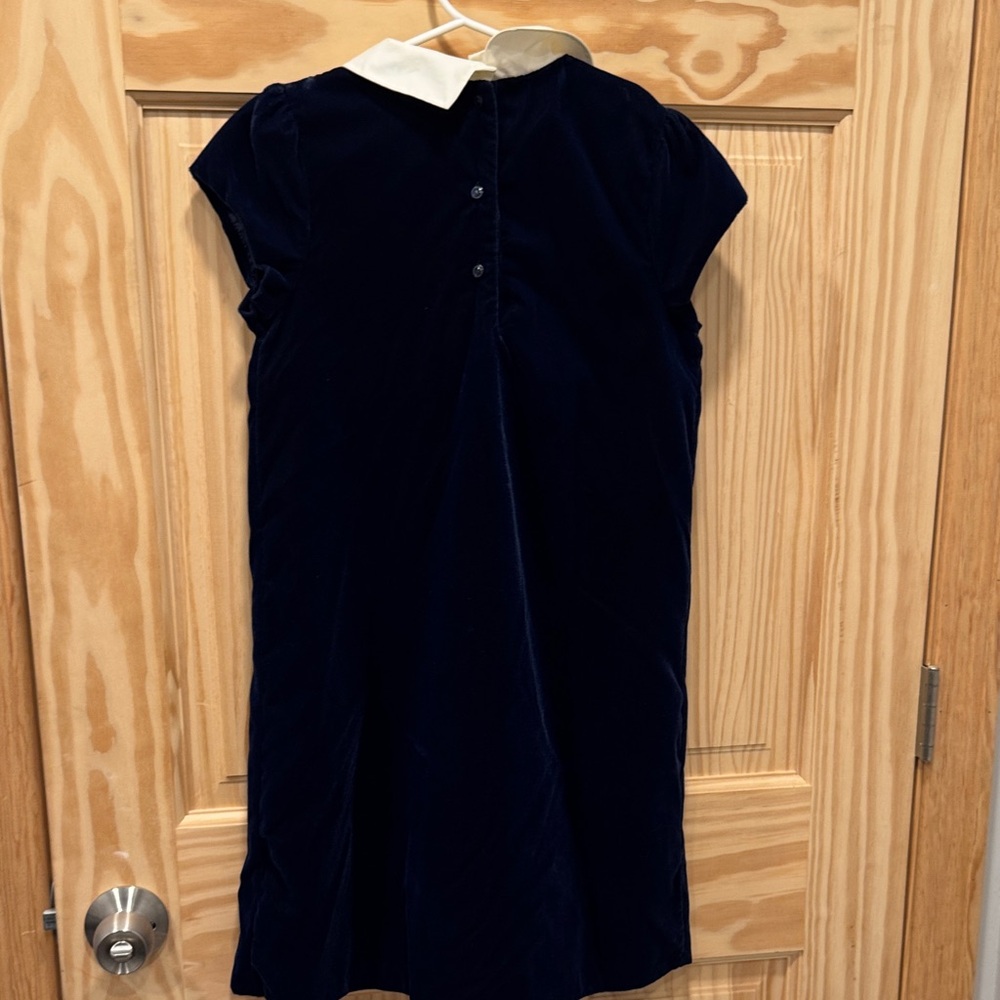 Janie and jack velvet shift Navy Dress with Collar - Picture 7 of 9